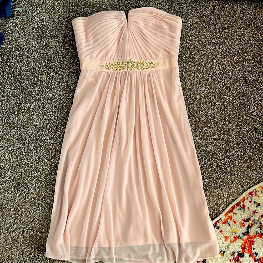 Adrianna Papell Dusty Rose Dress